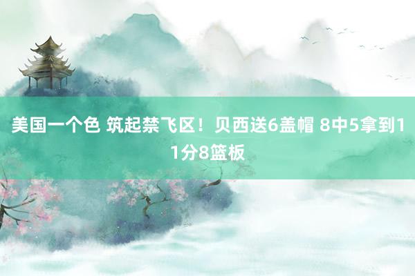 美国一个色 筑起禁飞区！贝西送6盖帽 8中5拿到11分8篮板