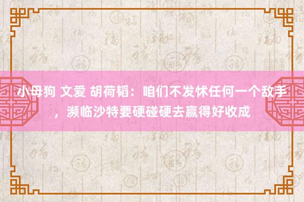 小母狗 文爱 胡荷韬：咱们不发怵任何一个敌手，濒临沙特要硬碰硬去赢得好收成