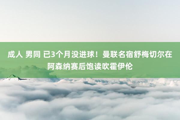 成人 男同 已3个月没进球！曼联名宿舒梅切尔在阿森纳赛后饱读吹霍伊伦